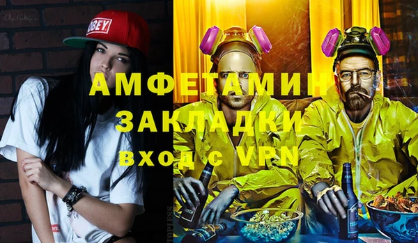 индика Волосово