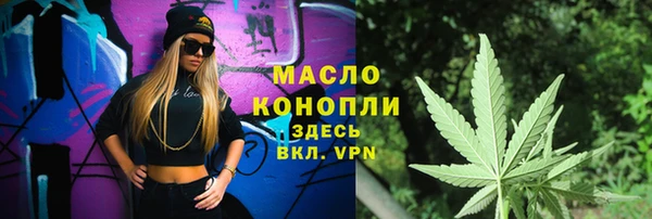 дмт Зеленодольск