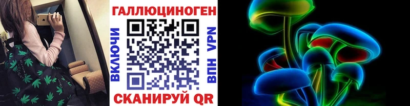 где можно купить наркотик Дигора Галлюциногенные грибы Magic Shrooms