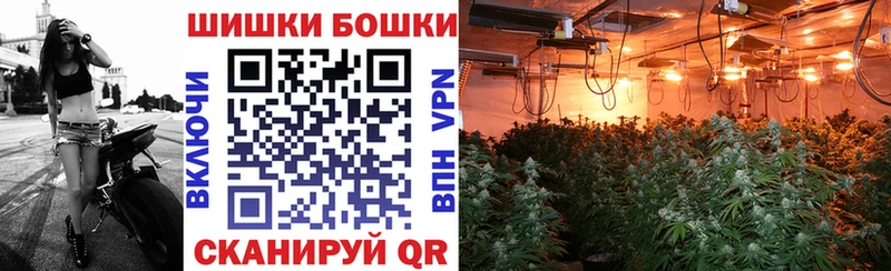 сколько стоит  Дигора  Бошки марихуана гибрид 